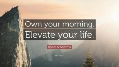 Elevate Your Life